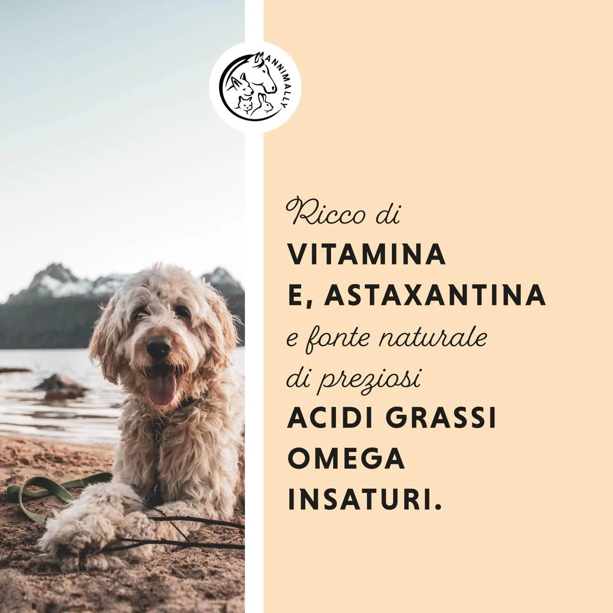 Annimally Olio di Salmone Scozzese per Cani, Gatti e Cavalli 1 Litro - Con il 30% di Acidi Grassi Omega 3 e 6 - Olio di Pesce per Dieta BARF - Prodotto Naturale Puro