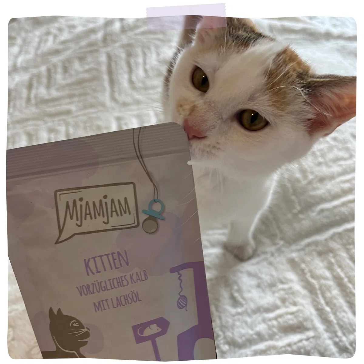MjAMjAM - cibo umido premium per gatti - gattino eccellente vitello con olio di salmone, confezione da 6 (6 x 400 g), senza cereali con carne extra