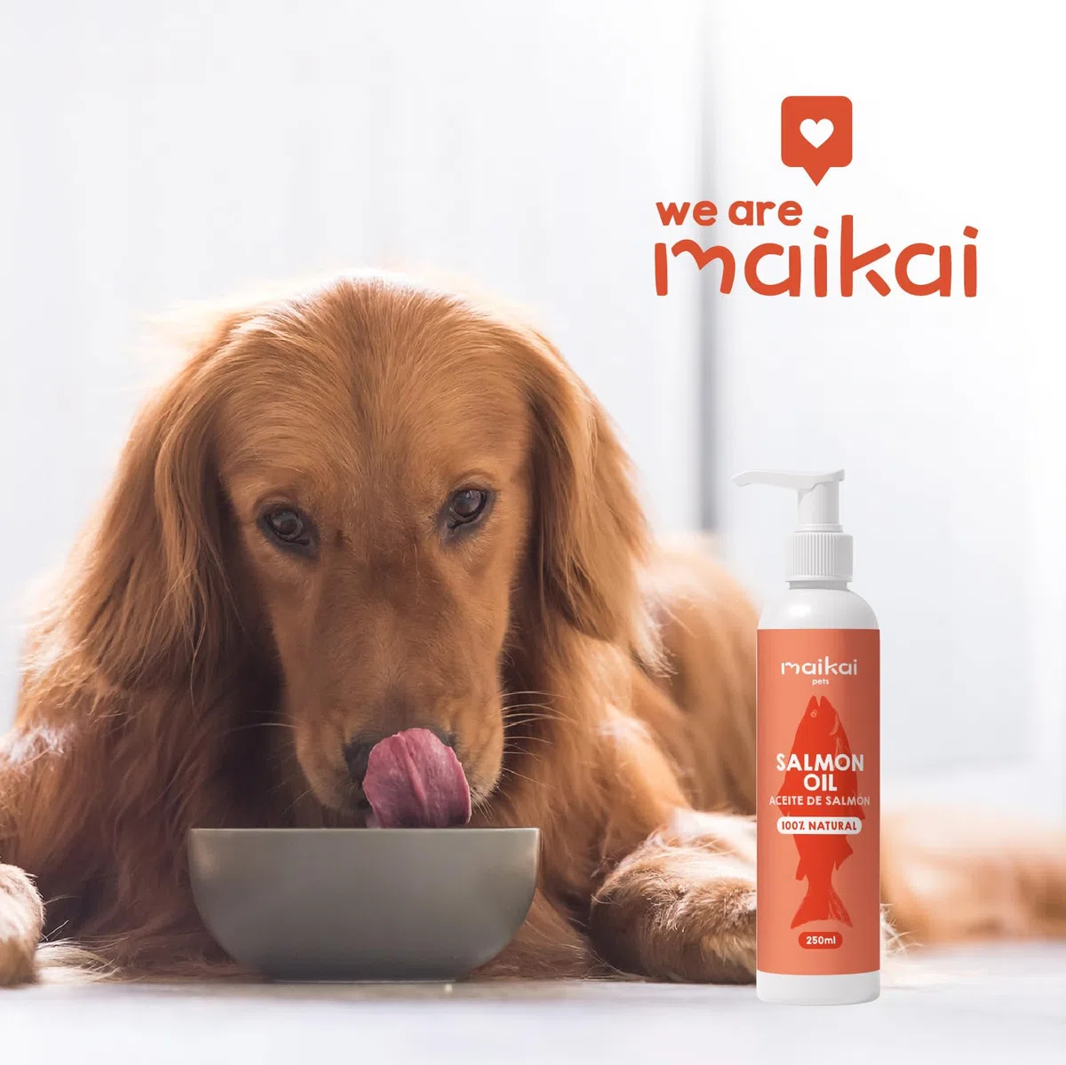 MAIKAI Olio di Salmone per Cani e Gatti 100% Naturale Norvegese 1LRicco di Omega 3 6 e 9 Migliora Pelle e Pelo - Supporta Articolazioni e Sistema Immunitario - Appetizzante Naturale per Animali