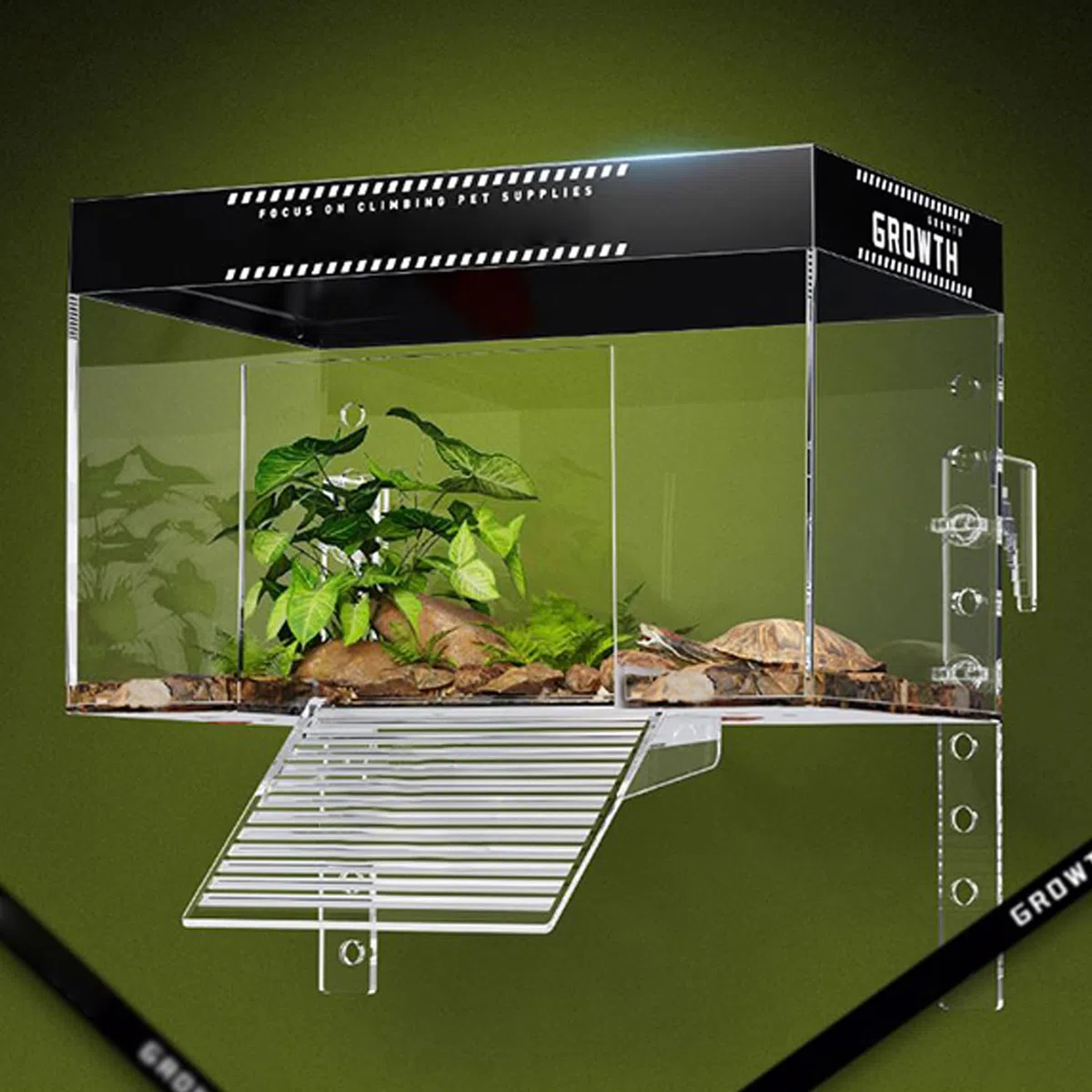 Piattaforma Per Tartarughe Con Rampa Sopra Vasca, Area Di Bagno Solare Per Tartarughe Con Zona Di Risalita, Copertura Habitat Con Gabbia Per Osservazione Animali E Terrario Acquatico