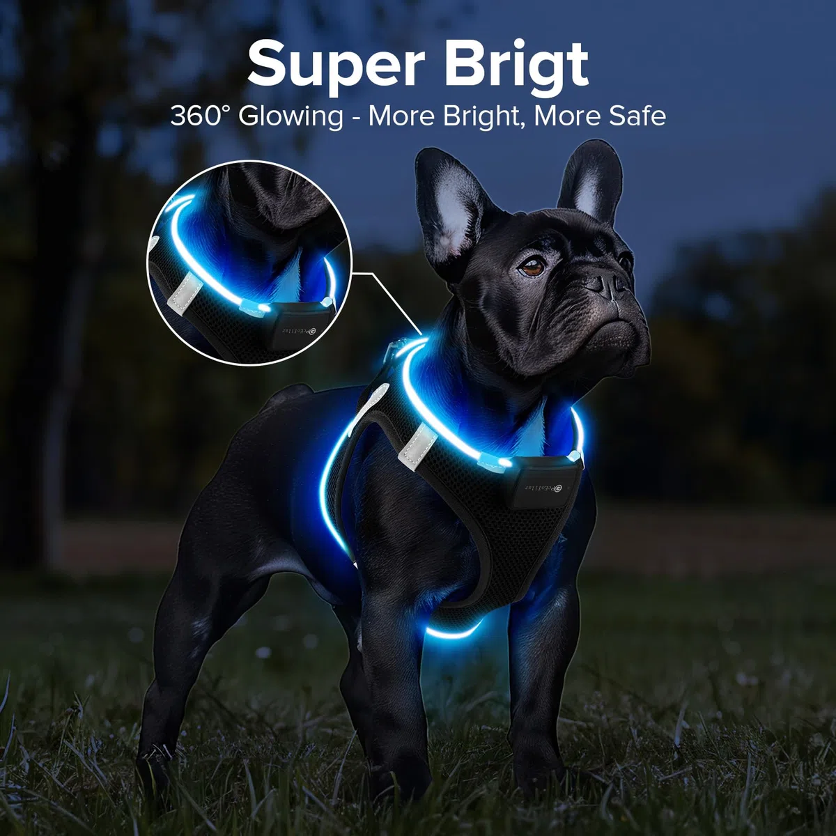 Imbracatura per Cani con Luci LED, Imbracatura Riflettente Ricaricabile per Cani, Impermeabile con Luci Lampeggianti per Cuccioli di Piccola Taglia e Cani Medi con 9 Modalità di Illuminazione per