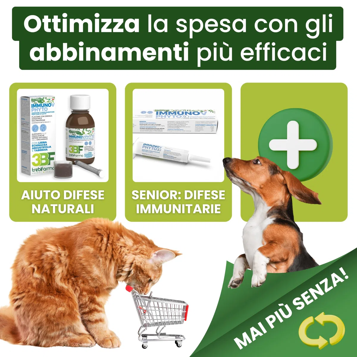 Trebifarma Immunov Phyto 40 Compresse per Cani e Gatti – Supporto Naturale al Sistema Immunitario – Mangime Complementare con Azione Immunostimolante, Facile da Somministrare