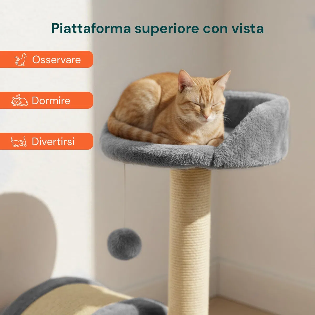 Avilia Tiragraffi per Gatti 50 cm – Albero Tiragraffi con Piattaforma Imbottita, Pallina Pendente e Sisal Naturale, Trespolo per Gatti Compatto Salvaspazio, Giochi Gatto 3 in 1, Protezione Divano