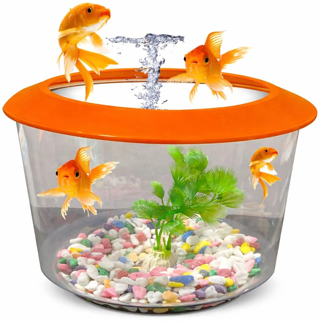 Pet Guru Ciotola per pesci trasparente di alta qualità con coperchio, ghiaia decorativa e pianta inclusa, plastica resistente, perfetta per pesci rossi (casuale)