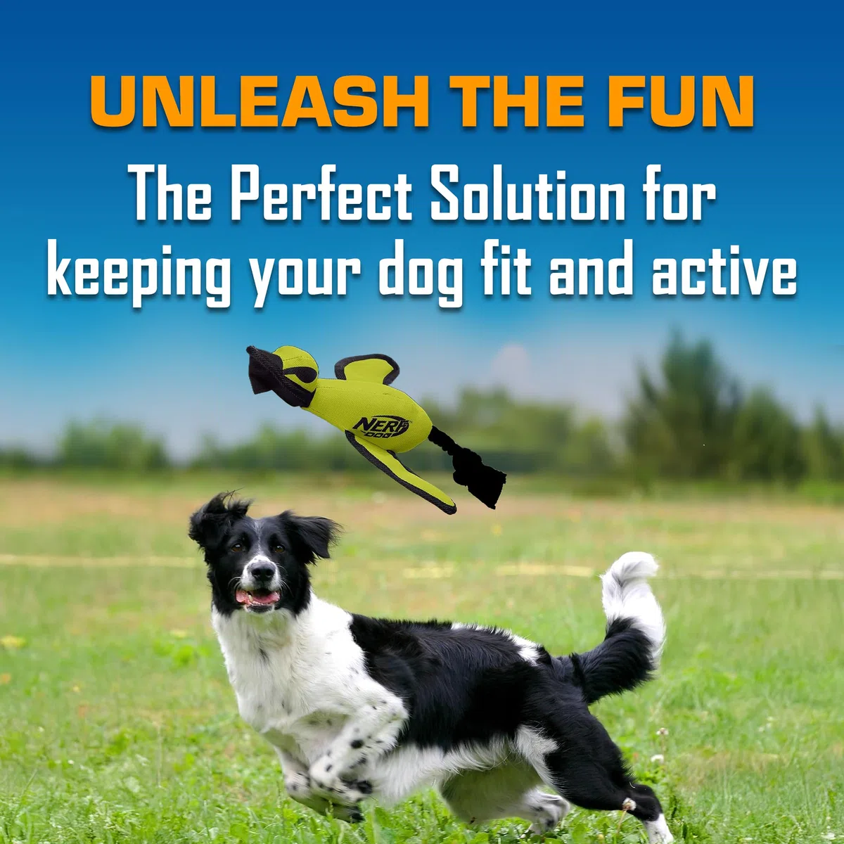 Nerf Dog Grande anatra di lancio in nylon con design interattivo, verde
