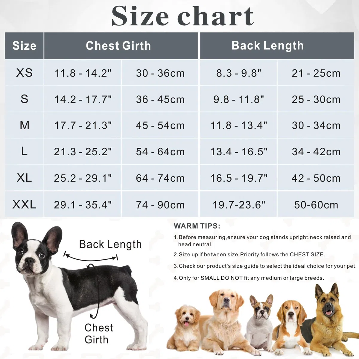 Body Cane Post Operatorio, Tuta Onesie Tutina Cane Post Operatoria per Cani Femmina Spay Maschio Neuter Pet Bodysuit Pigiama Prevenire Ferite Leccare Camicia (Grigio, XL)