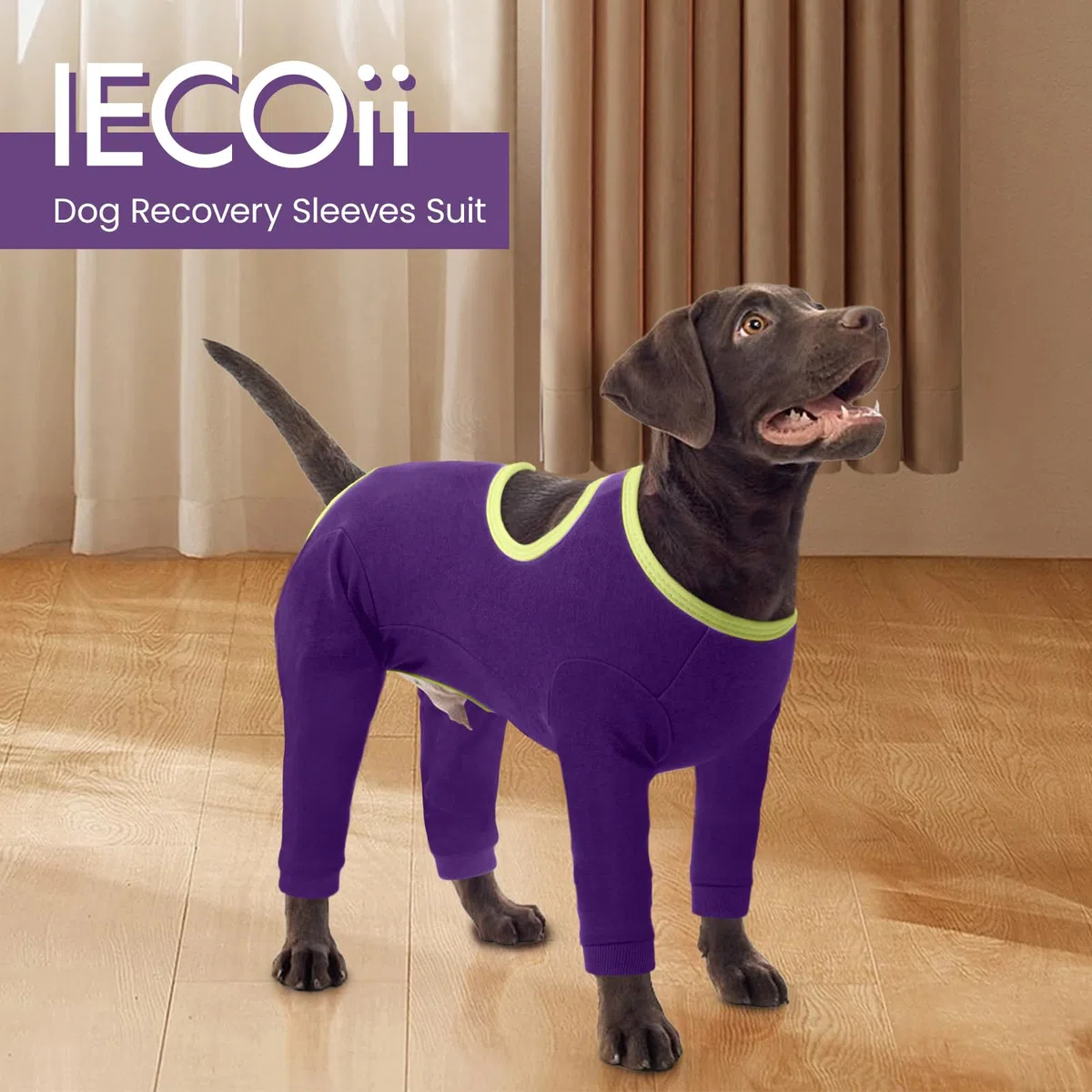 IECOii Tutina Post Operatoria Cane,Vestito di Recupero per Animali Domestici,Tuta da Recupero Cani Body Post-Operatorio Vestito Recupero Protezione per Malattie Pelle Ferite Cani Cura Chirurgica,S