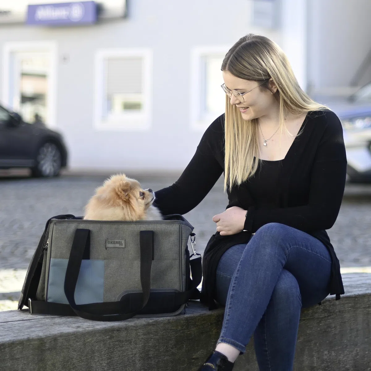 Kerbl Pet Borsa per trasporto Vacation, trasportino per cani, grigio, blu, 40x20x27cm, nylon, cani, gatti, inserti in rete anti-morso, rivestimento lavabile