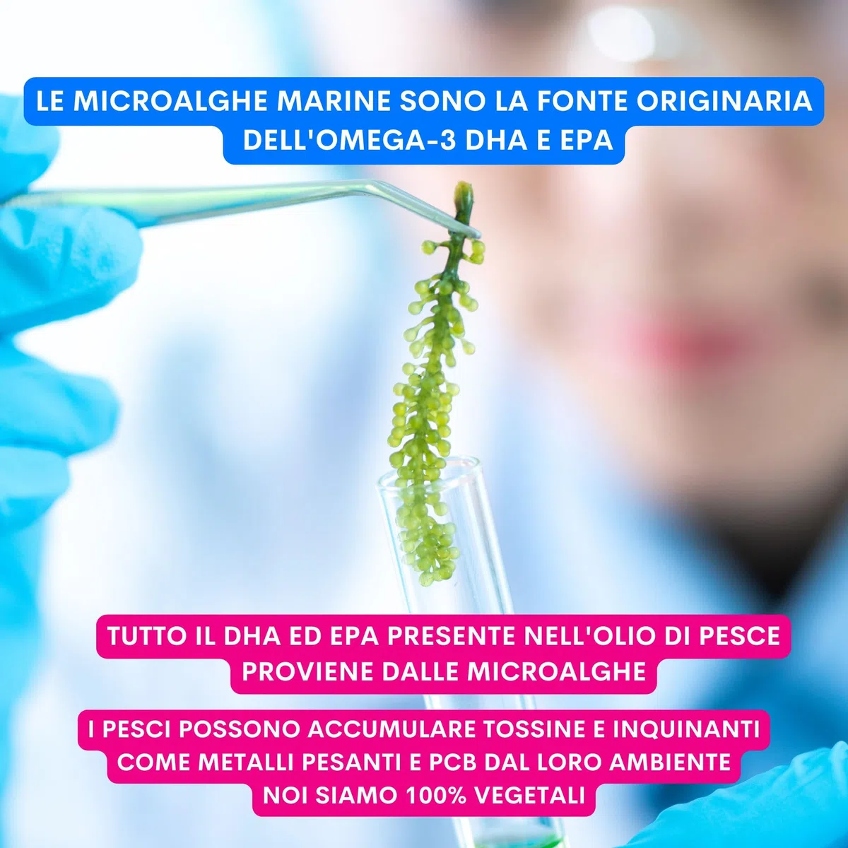 JAMPY The Smart Omega - Omega3 Vegano Senza Ritorno di Gusto e Odore di Pesce - Integratore per Pelle, Pelo, Prurito. Base di Microalghe e Ribes. Antiossidante, Ipoallergenico. PLASTIC-FREE Pack.