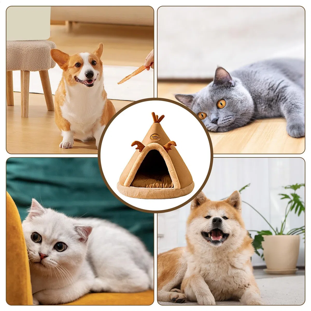 Chiuso Caldo per Gatti da Interni per Animali Domestici | Cuccia per Animali Domestici Accogliente Cuccia per Interni Pieghevole per Gatti e Cani di Taglia Media, Letto a Sagomato