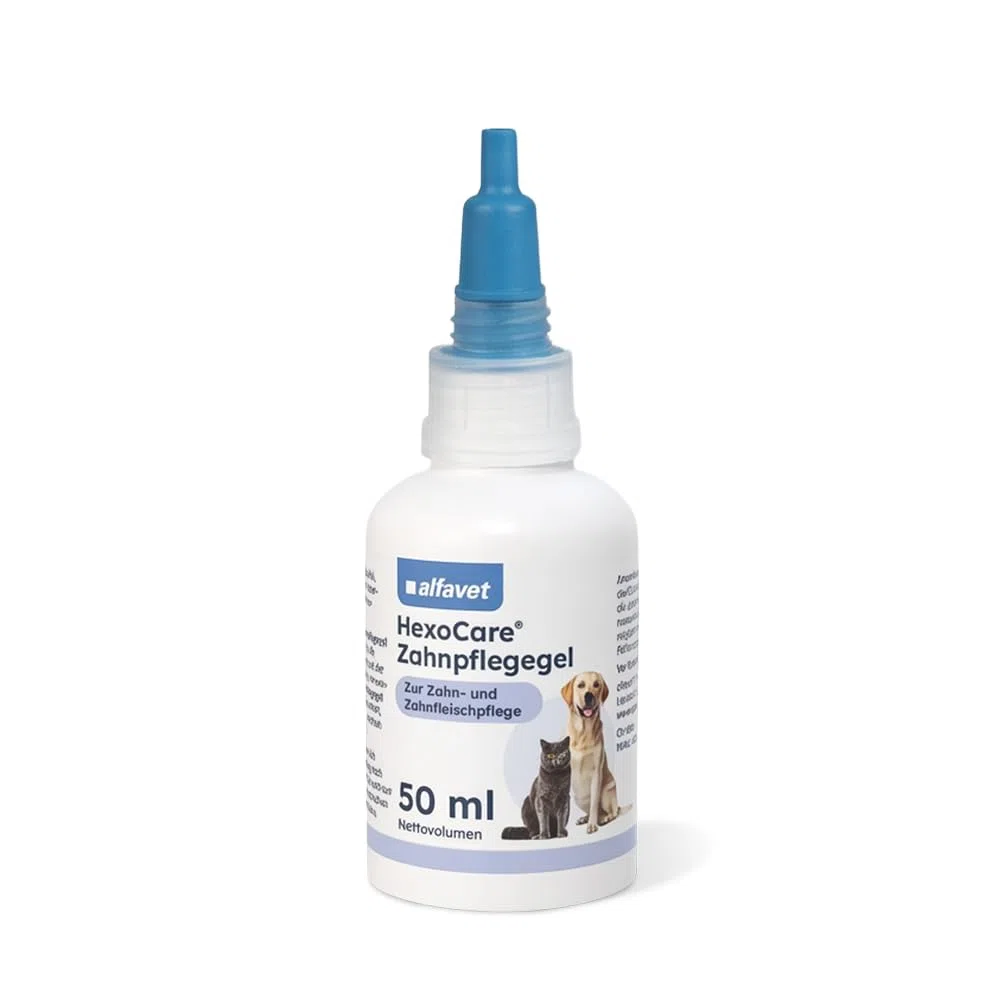 Alfavet HexoCare Gel per igiene orale (50 ml) – gel dentale per cani, gatti e piccoli animali – con clorexidina, Tris-EDTA ed erba gatta – cura quotidiana di denti e gengive