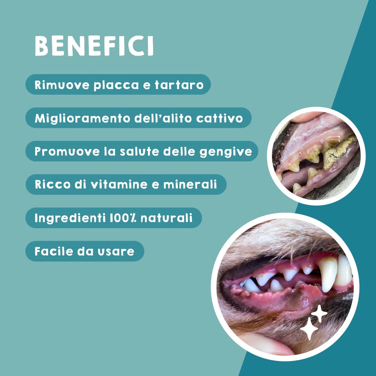 MAIKAI Polvere per Pulizia Denti Cani e Gatti 150g Integratore Antitartaro e Placca Alitosi Eliminare Alito Cattivo 100% Naturale - Rinfresca l’Alito e Protegge Denti e Gengive Igiene Orale Naturale