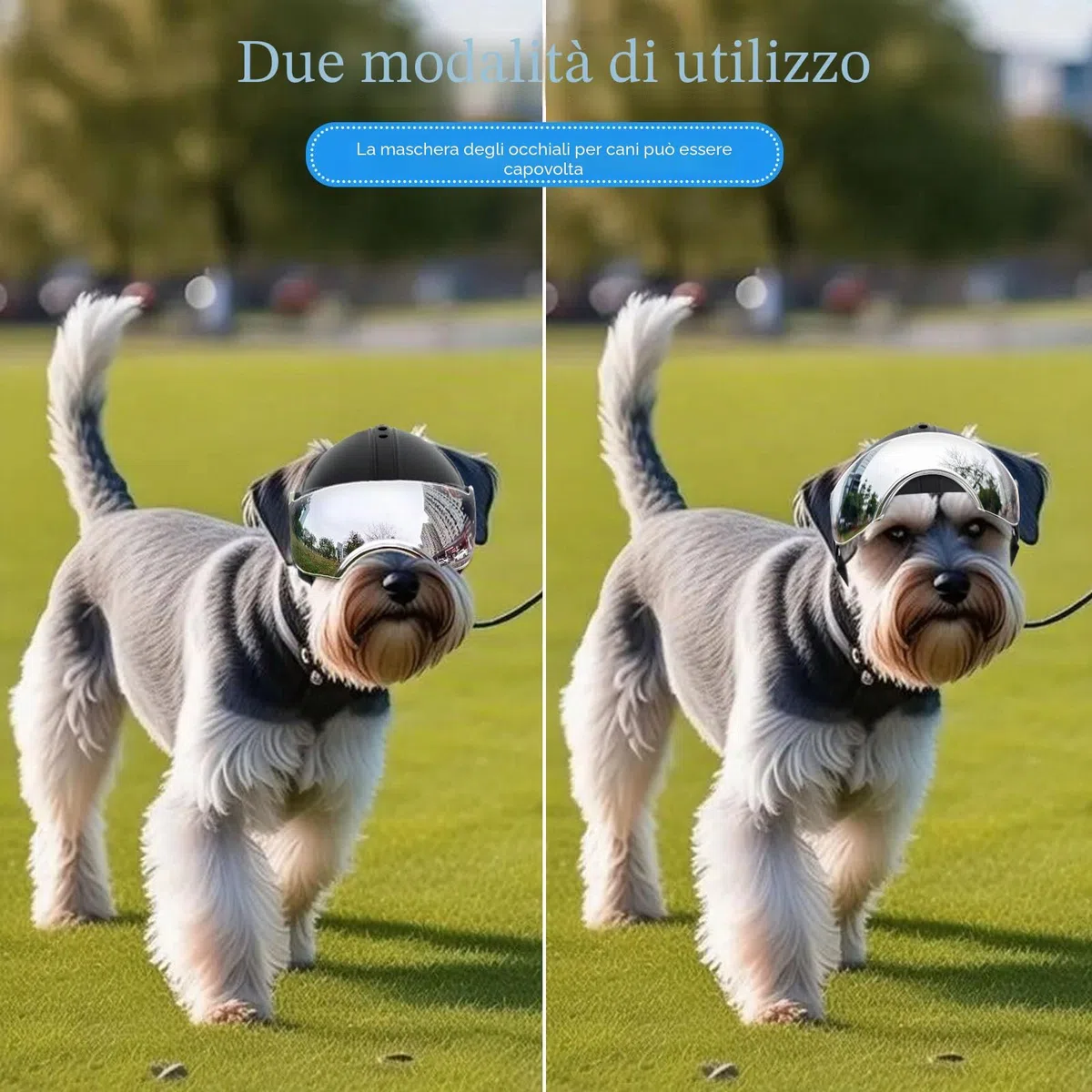 Enjoying Casco per Cani con Fori per le Orecchie, Casco per Animali con Lenti Argentate, Protezione UV, Protezione Dalla Sabbia, Adatto per Cani di Peso Compreso tra 7,5 e 12,5 kg