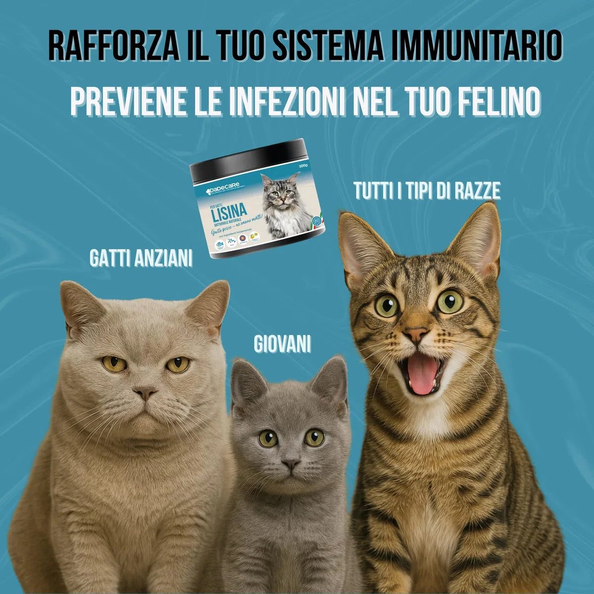 Lisina - 300 g integratore lisina in polvere - gusto pesce - rafforza il sistema immunitario, previene l'herpes felino - adatto a gatti giovani e anziani