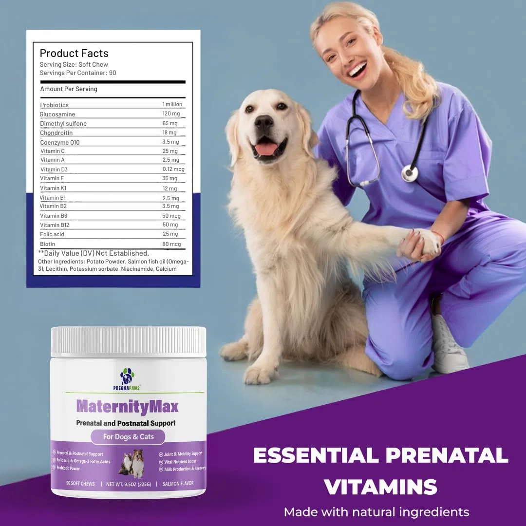 Vitamine prenatali e postnatale per cani e gatti – Integratore con acido folico, biotina, CoQ10, probiotici, glucosamina e vitamine essenziali – Supporta gravidanza, allattamento e recupero – 90 ct