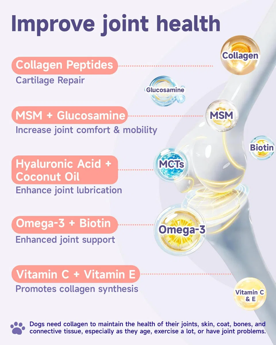 Eagou Diary Collagene per Cani - Supporto per Articolazioni e Flessibilità, Salute della Pelle e del Pelo, Glucosamina, MSM, Olio di Cocco, Vitamina C E, Biotina - Supporto Sistema Immunitario, 60ml