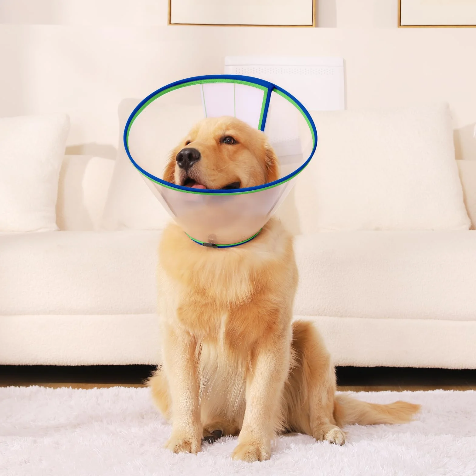 Collare Elisabettiano Cane Morbido, Regolabile Cono per Cani Post-Operatorio, Leggero Collari Protettivo Cane Anti-Leccamento e Anti-Morso, Traspirante Collare Vittoriano Cani (Blu, Size 7)