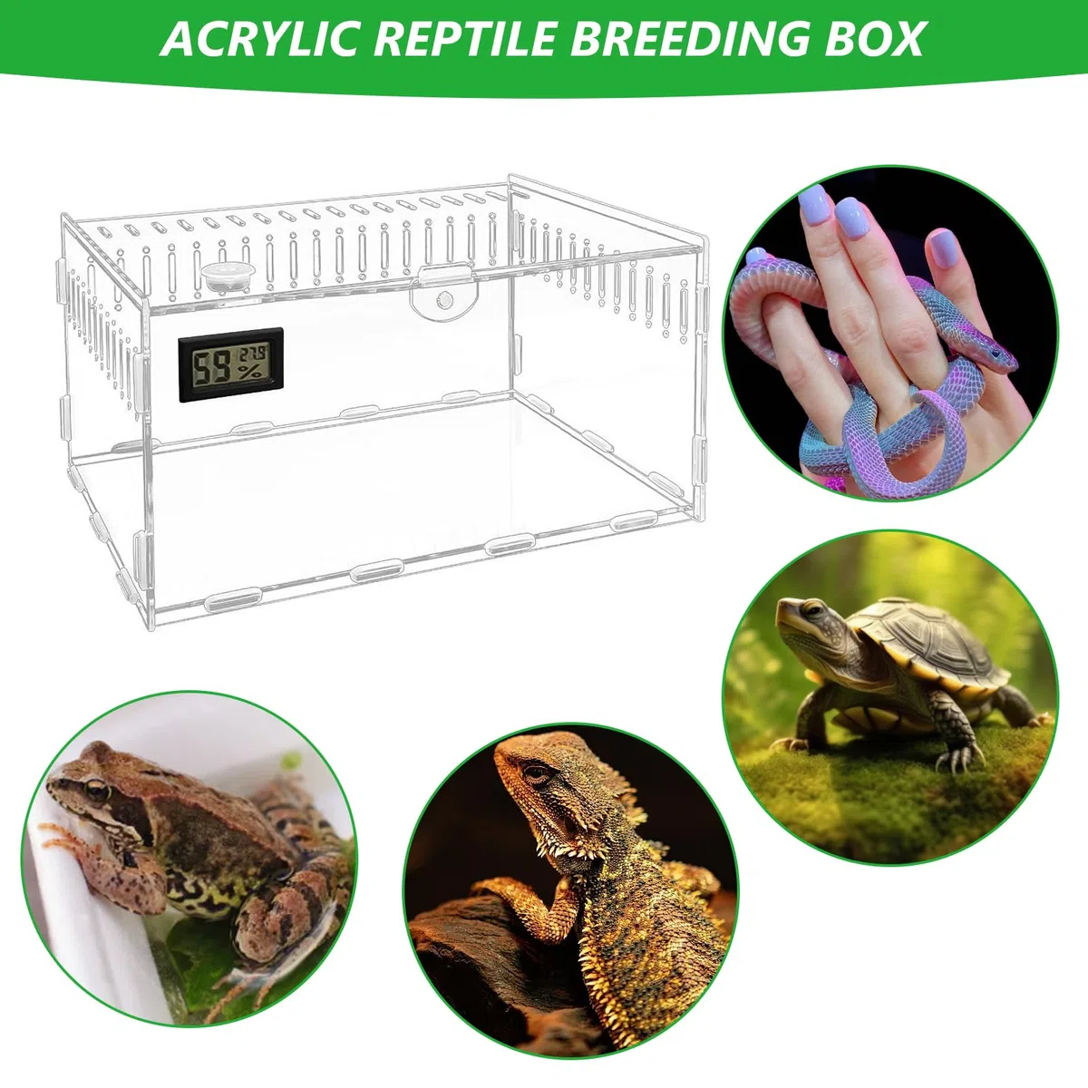 Terrario per Rettili, Scatola di Alimentazione, Terrario portatile, trasparente, in Acrilico per Spide, Lucertola, Scorpione Contenitori, 30cm x 20cm x 15cm