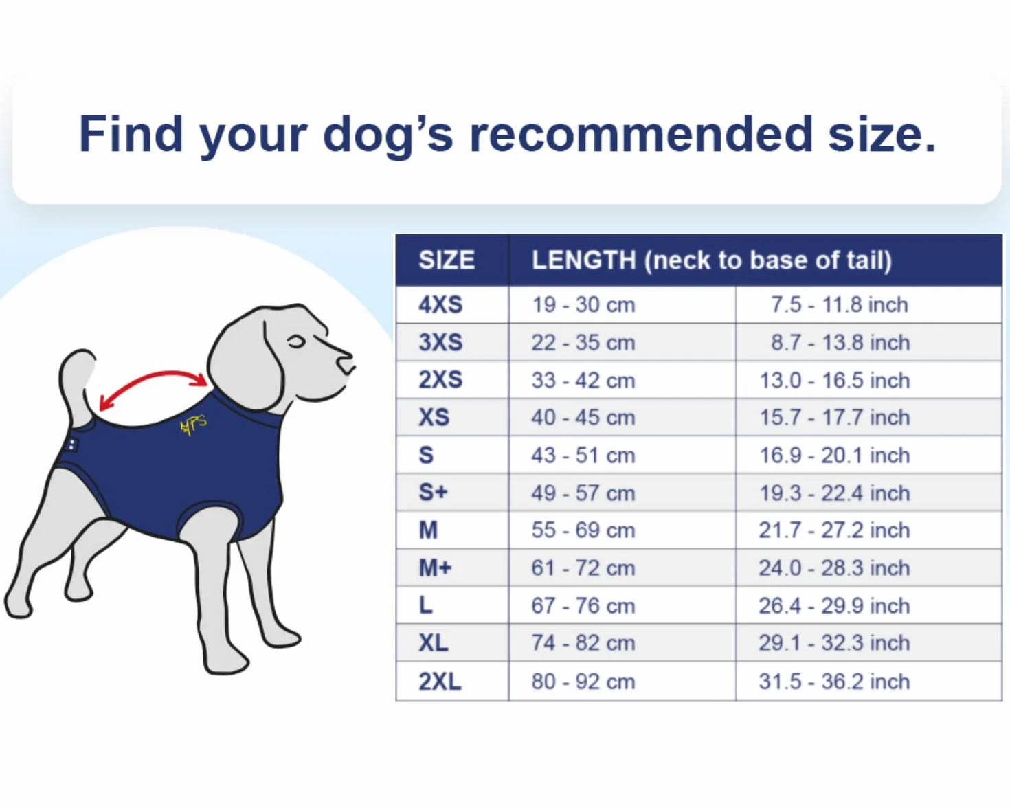MPS Medical Pet Shirt, Cane, Blu, L