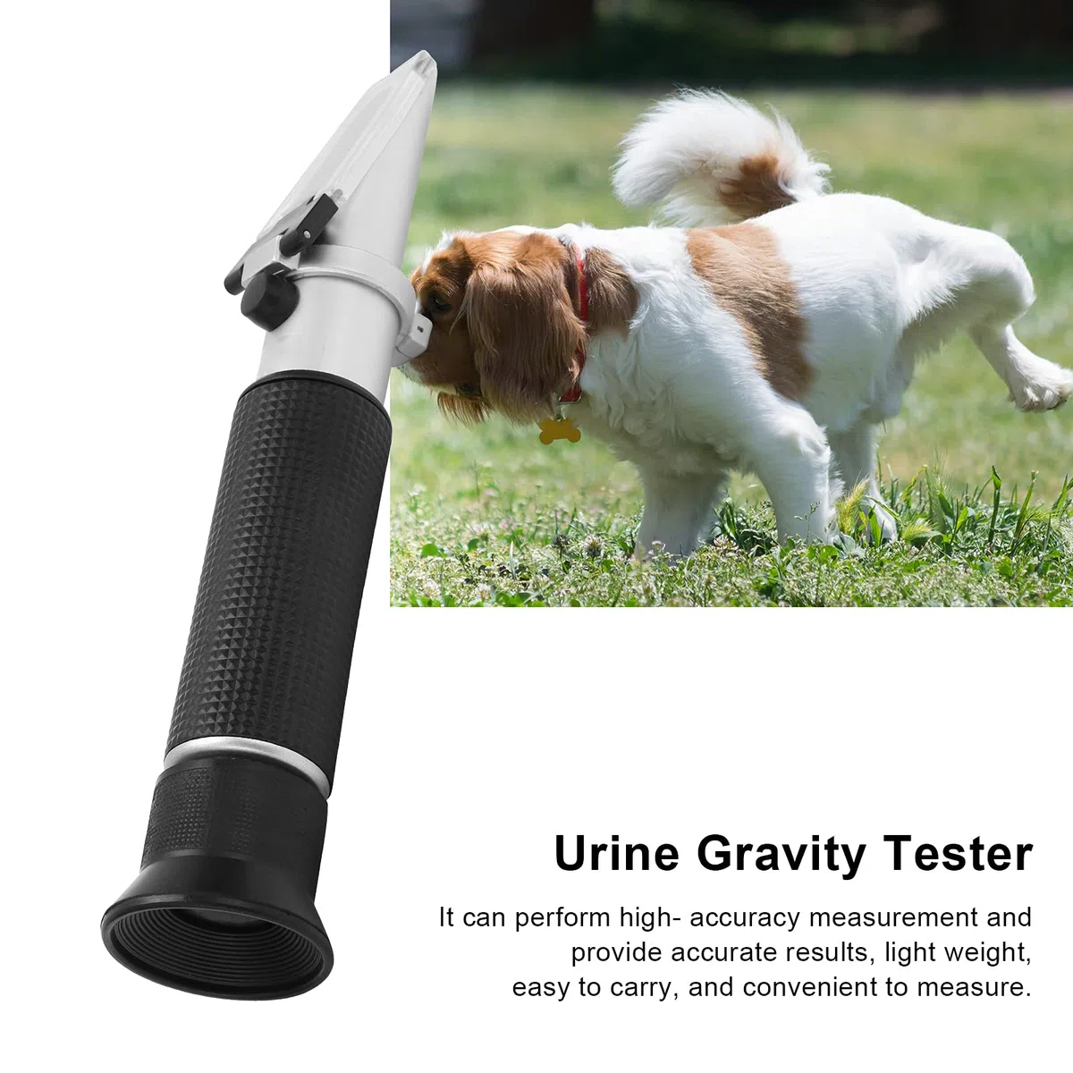 Fockety Rifrattometro per Cani e Gatti, rifrattometro a gravità specifica delle Urine per Animali veterinari, rifrattometro clinico per Animali per la gravità specifica del Sangue