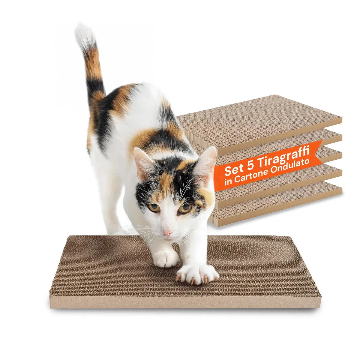 Avilia - Tiragraffi per Gatti Set 5 Pz – Tiragraffi Cartone Ondulato Bifacciale Ultra-Compresso, Graffiatoio per Gatti Protezione Divano, Tiragraffi Cartone per Gatti 3 in 1 Atossico Riciclato