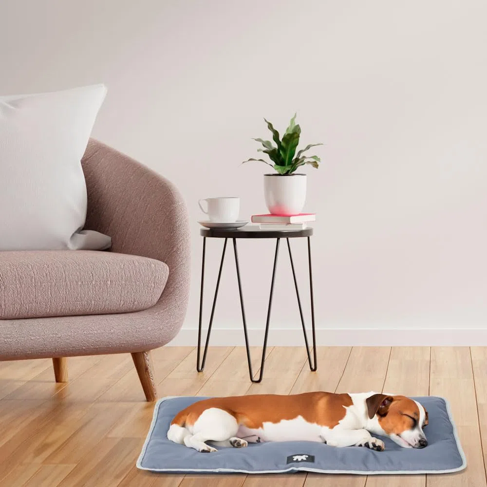 Ferplast Cuccia Cane e Gatto Antigraffio e Impermeabile, Tessuto Tecnico Resistente Tech, JOLLY Taglia Piccola, Materassino Lavabile a Mano a 30°, 65 x 48 x 3,5 cm, Grigio