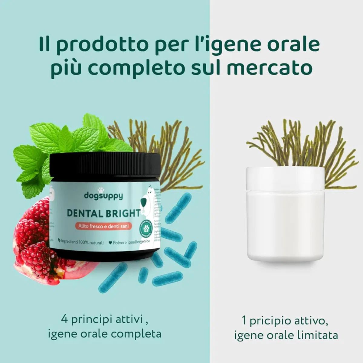 DogSuppy Dental Bright per Cani - Alito Fresco, Denti Bianchi, Riduce Placca e Tartaro, 100% Naturale, Formula 3-in-1, Senza Spazzolatura, Adatto a Tutte Le Razze