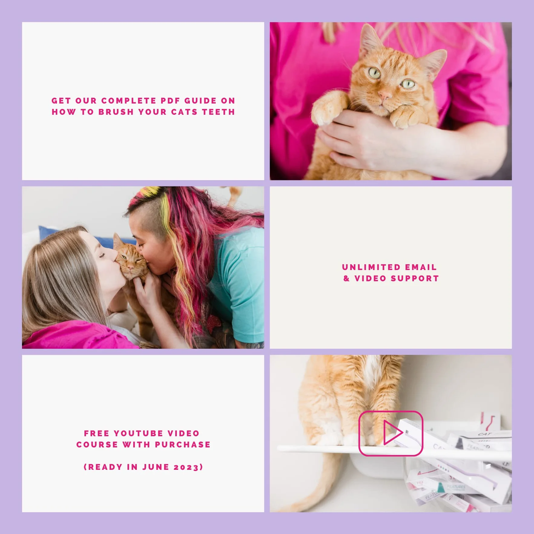 RYERCAT Spazzolino da denti per gatti a due lati, spazzolino da denti con micro testa per una vestibilità personalizzata, forniture per la cura dentale del gatto, spazzolino per animali domestici per