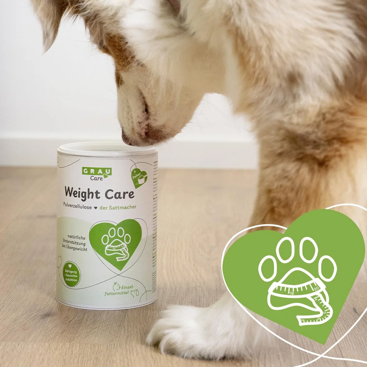 GRAU – Weight Care, confezione da 1 (1 × 600 g), alimento complementare per cani e gatti