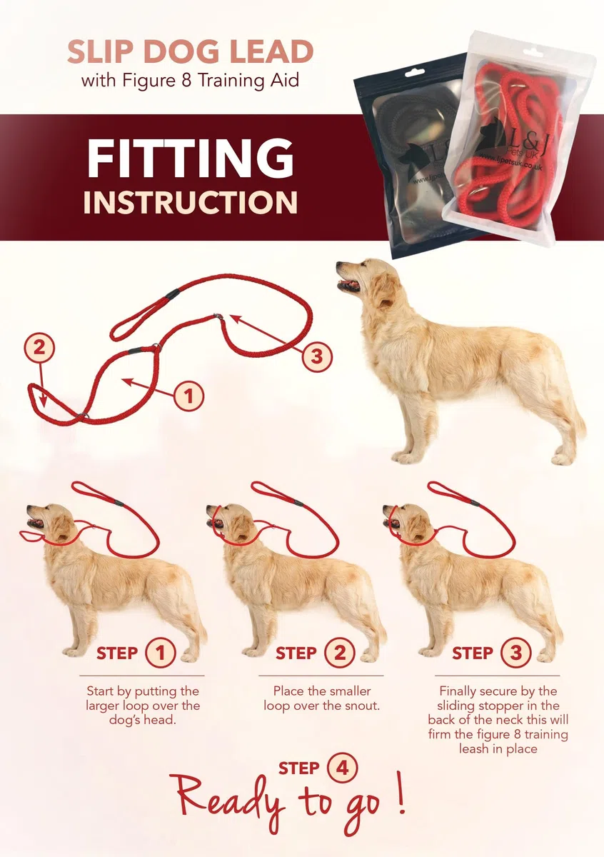 L&J Pets UK Guinzaglio anti-tiro, figura 8 all-in-one e cavezza