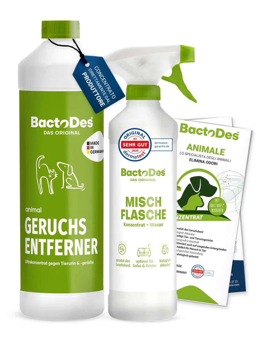 BactoDes Animal Concentrato elimina odori animali, 1 litro con contenitore per miscelare, Neutralizzatore per urina dei gatti, cani ed animali di piccola taglia