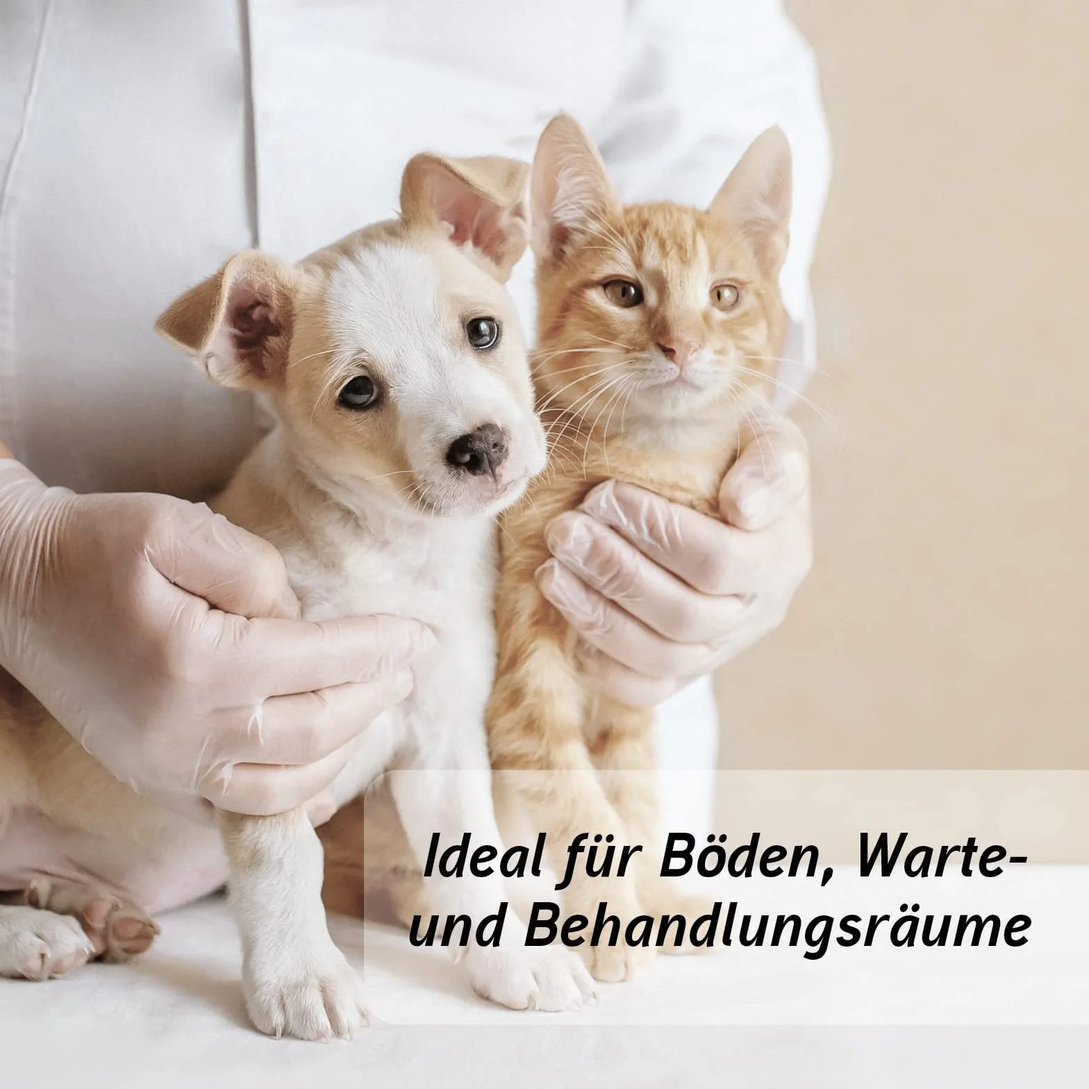 Biodor, Animal, Spray antiodore per Gli Animali
