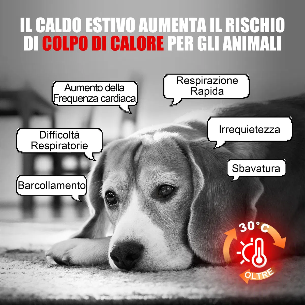 Angelpet Tappetino Refrigerante per Cani e Gatti, S 50x40cm - Gel Auto-Rinfrescante Atossico, Tappeto Rinfrescante Impermeabile e Duraturo, Ideale per Cani e Gatti nella Calda Estate(Blu)