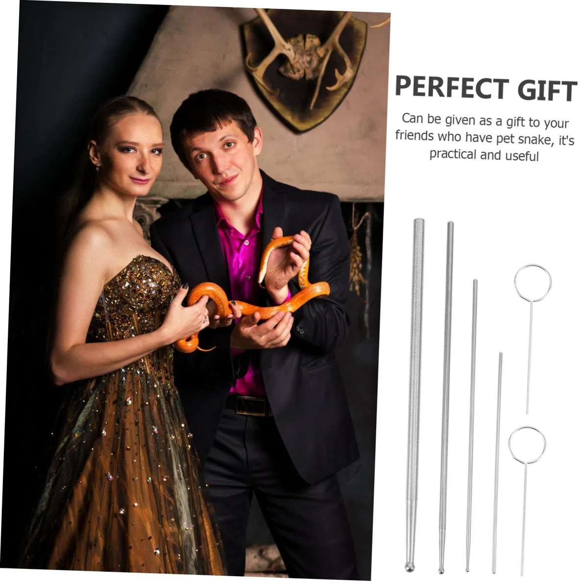 6 Pezzi per Sessaggio dei Rettili Kit Professionale per Serpente Strumento di Rilevamento in Acciaio Inossidabile Design Sfera Liscio Identifica Maschi e Femmine