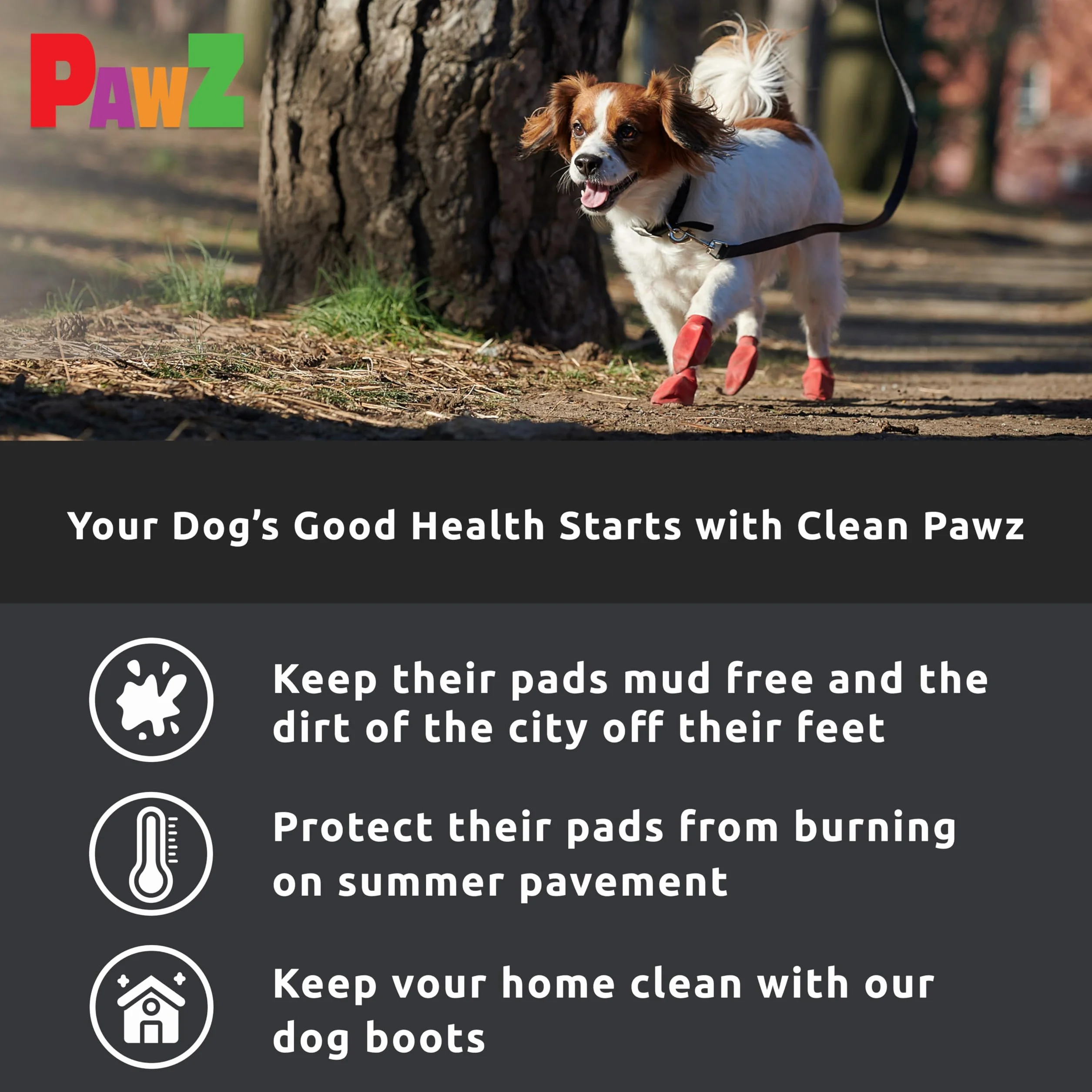 Botas para Perros Protex Protective, Color Negro, Small