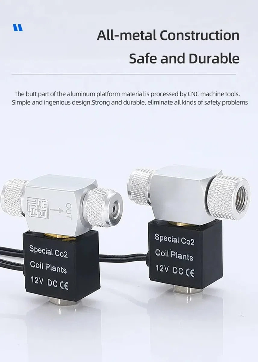 DC CO2 Valvola solenoide Acquario Sistema di CO2 Regolatore Valvola Magnetica per Acquario Fish Tank Acqua Pianta Erba Crescere Facile da installare