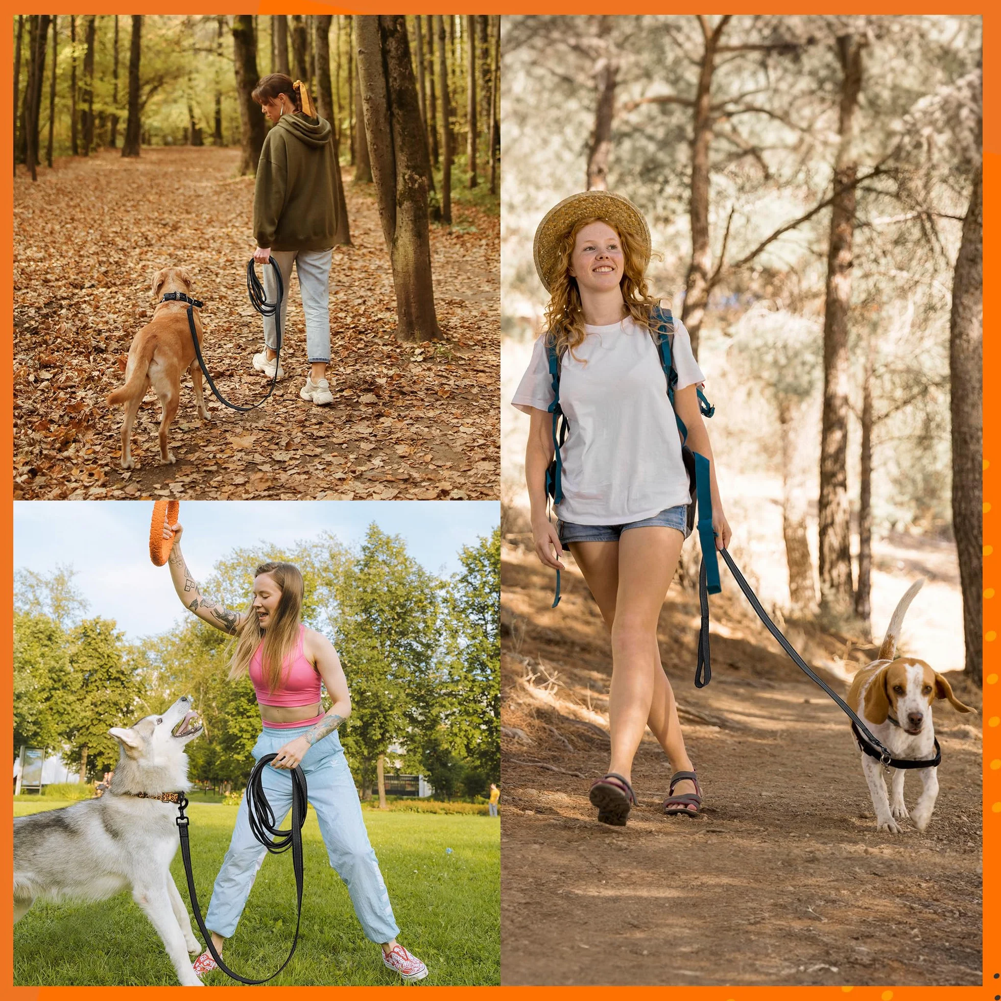 Toozey Lungo Guinzaglio per Cani Piccoli a Grandi e Medi con Gomma Antiscivolo e Strisce Riflettenti, 5m 10m 15m 20m Lunghina Cane Addestramento in Nylon Morbido e Resistente, 10m x 2,5cm