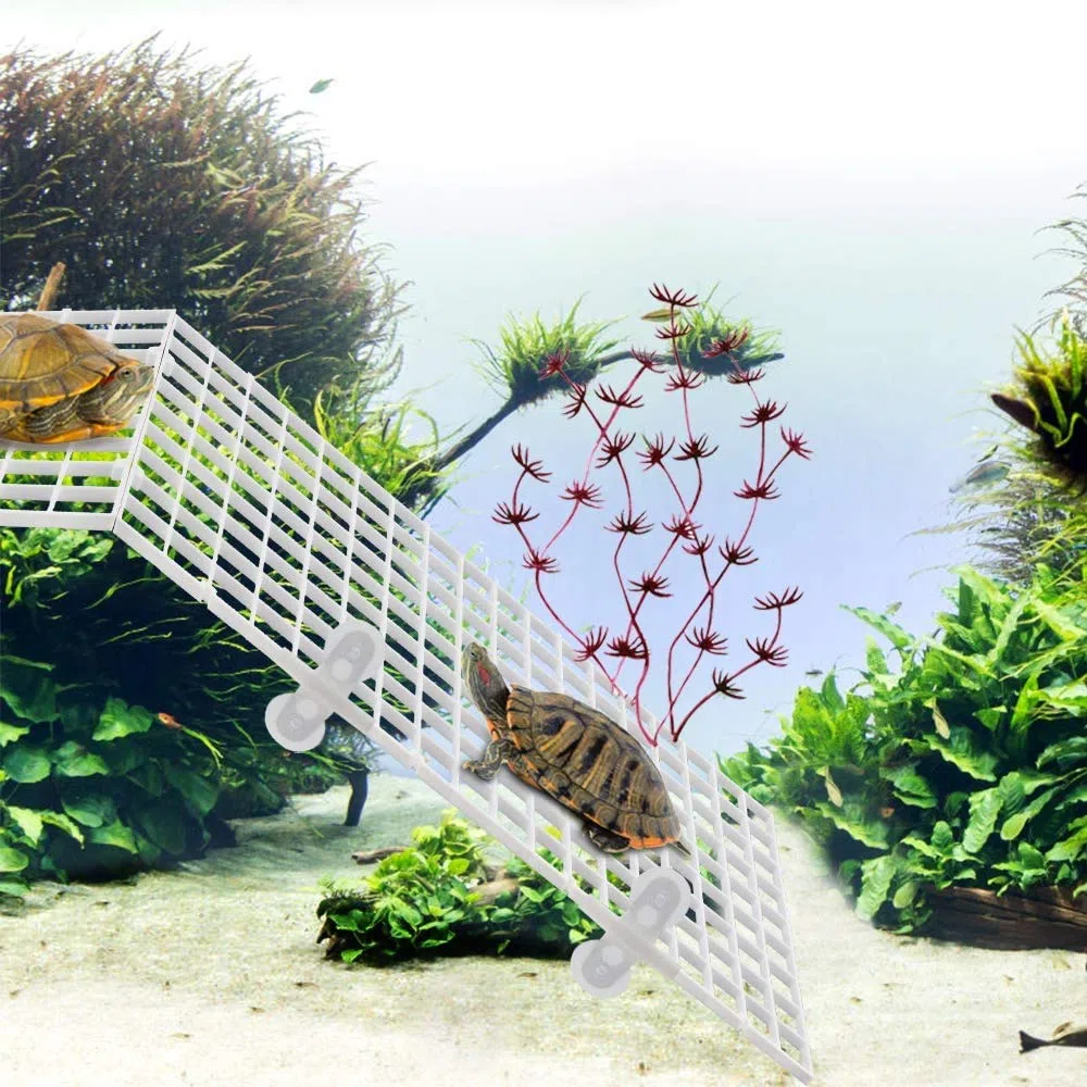 Nother xianzhanEU - 8 divisori per acquario, in plastica per acquario, con 16 ventose, colore: Bianco