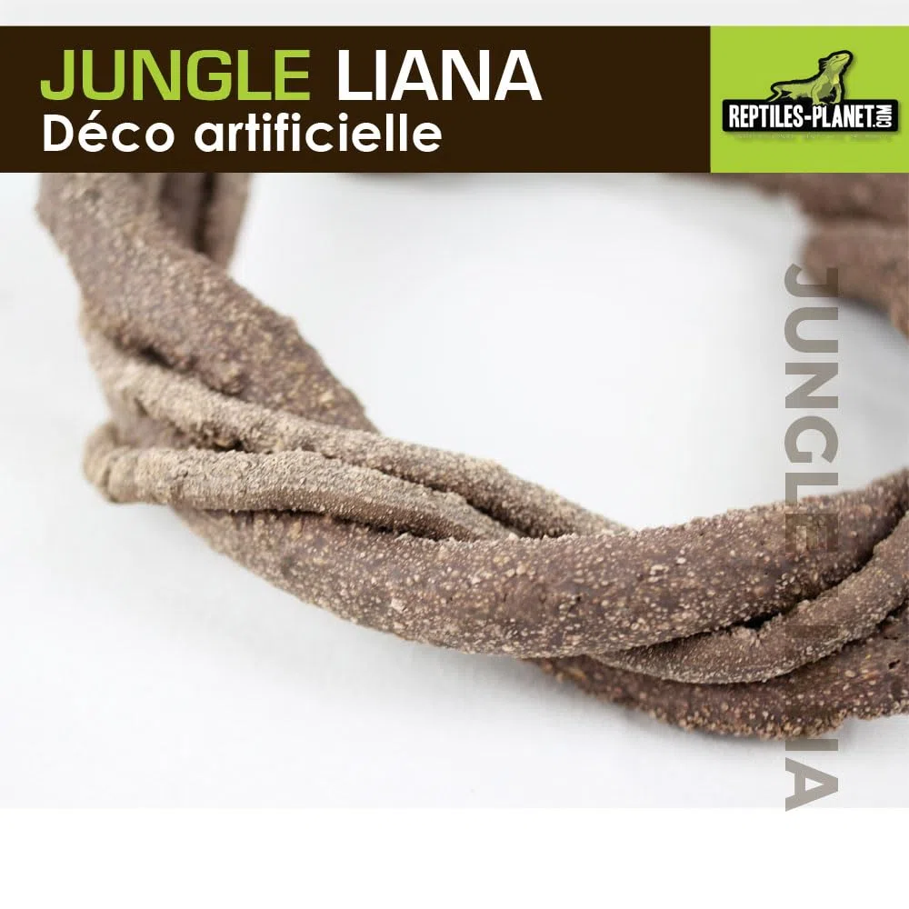 Reptiles Planet - Giungla Liana - Liana Artificiale - Decorazione per Terrario - 1 m