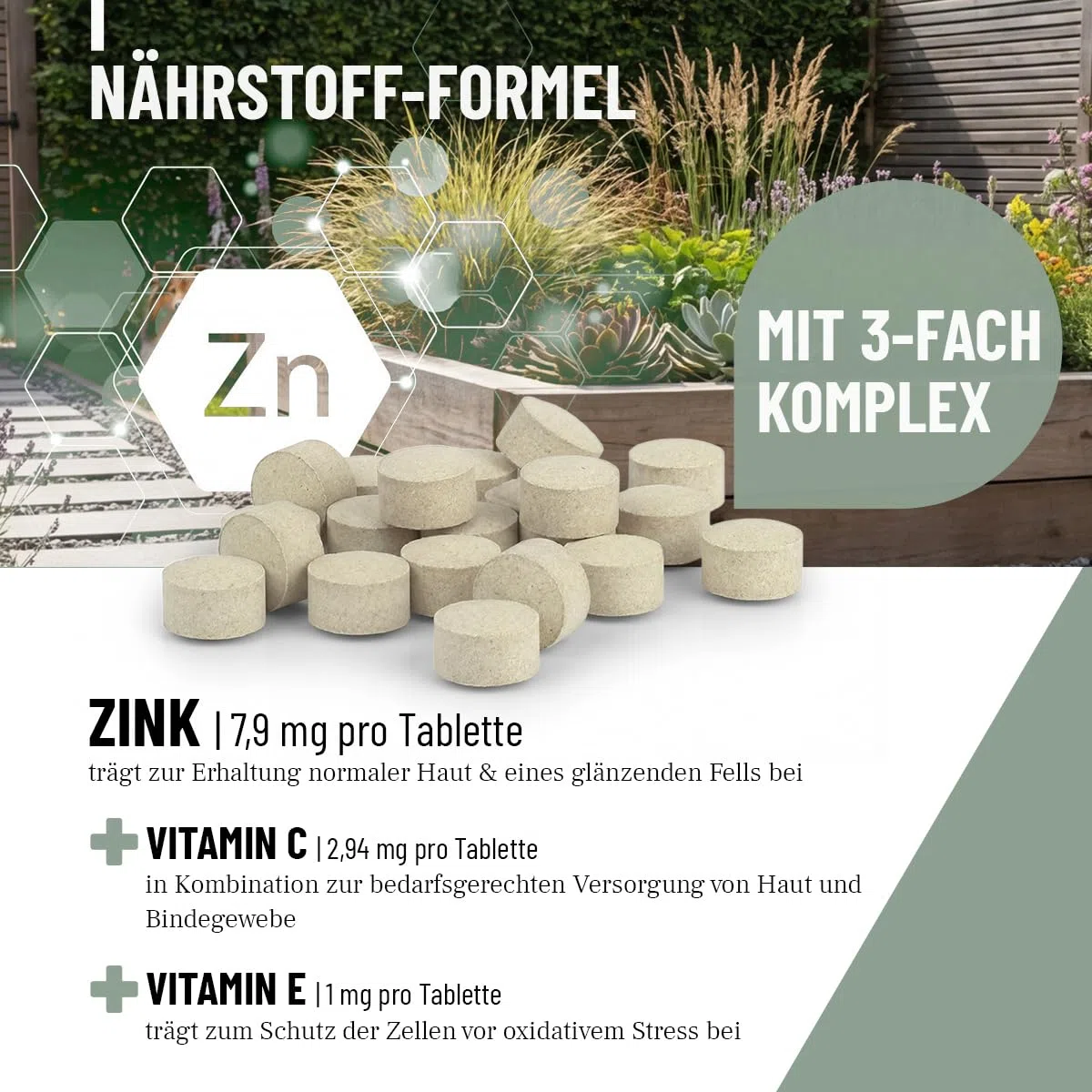 ReaVET 120 compresse di zinco per cani – ad alto dosaggio con vitamina C & E, compresse di zinco Plus vitamine per pelle secca, perdita di capelli, zinco cane per artigli e pellicce