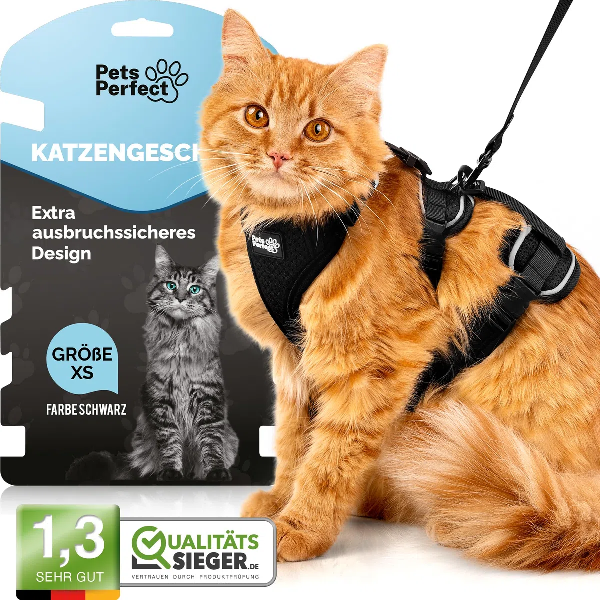 Imbracatura per gatti – Imbracatura extra anti-rottura con guinzaglio – Guinzaglio per gatti – Il nostro set di stoviglie per gatti porta sicurezza nelle vostre passeggiate (XS)