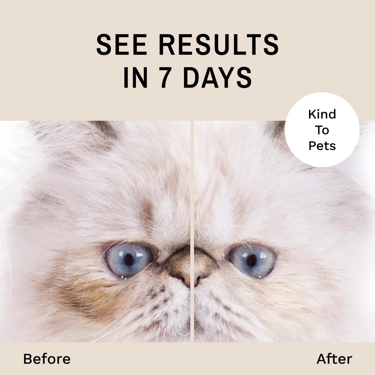Eye Envy Tear Stain Remover Solution for Cats|100% Natural And Safe|Recommended by Breeders/vets/Cat fanciers/Groomers|Contains colloidal Silver|Remove Stains from Fur on Persians And Exotics (4oz)