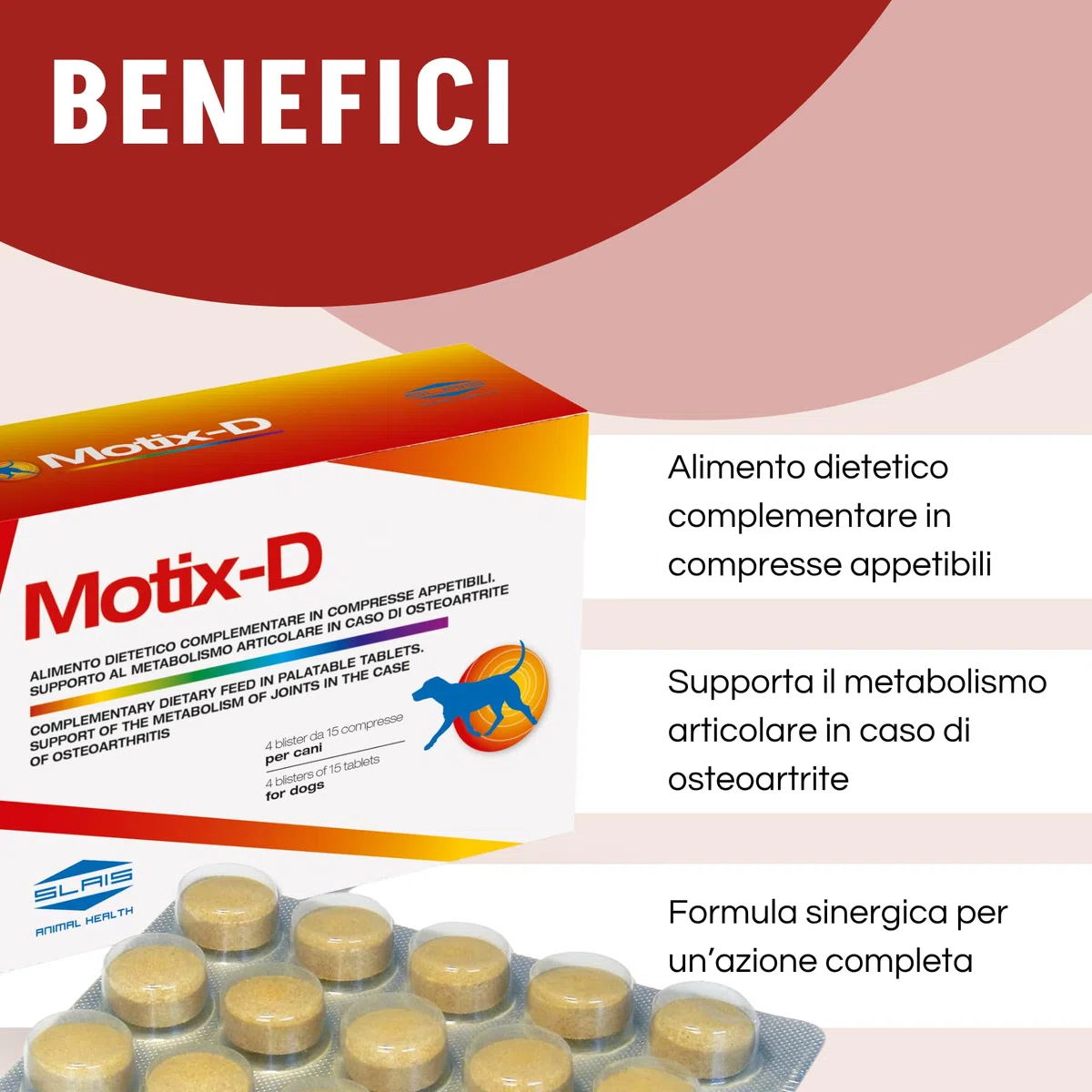 Motix-D Supporto Articolazioni Cane - Curcuma, Boswellia e Artiglio del Diavolo - Omega-3, Vitamine C/E - Supporto Naturale per Mobilità e Vitalità (60 COMPRESSE)