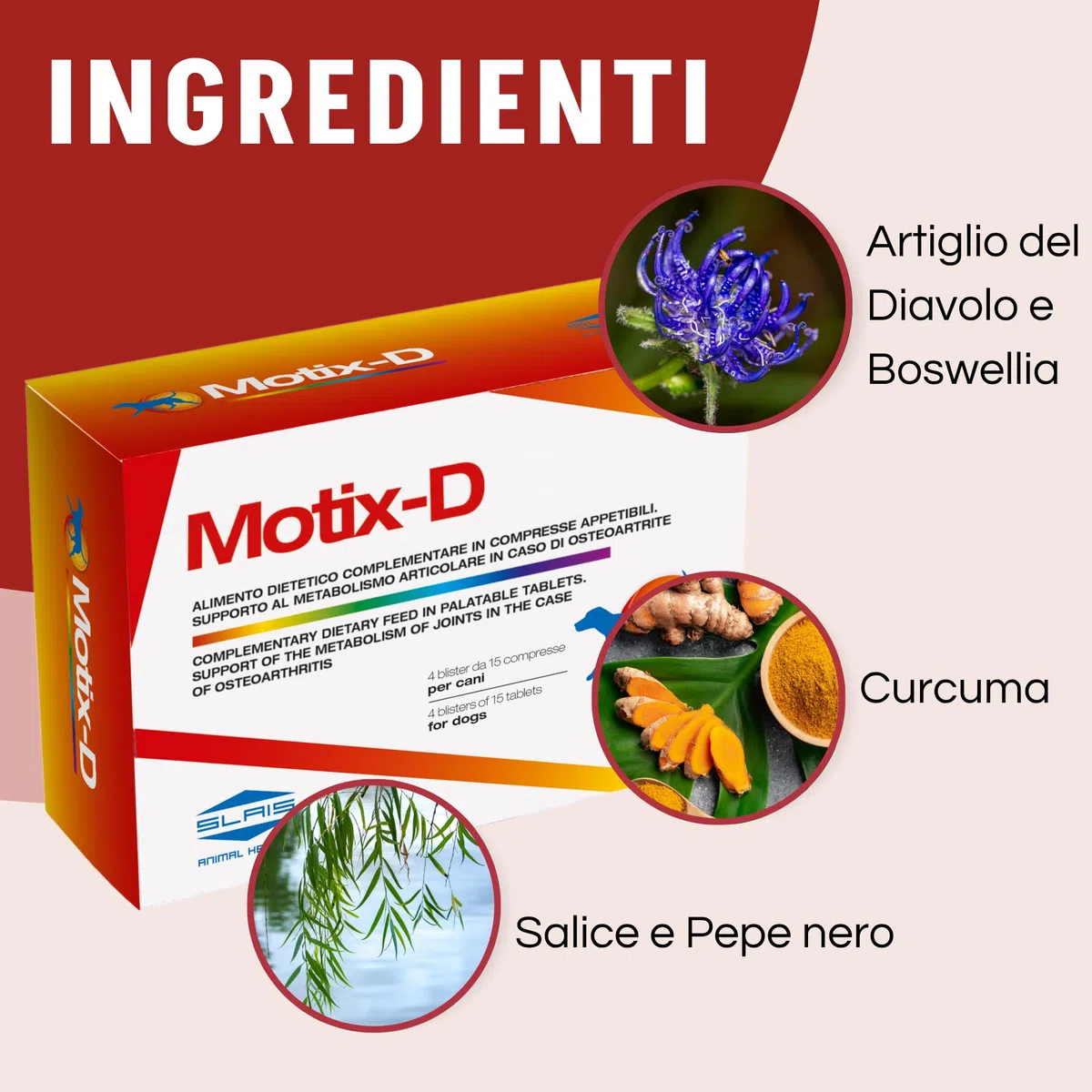 Motix-D Supporto Articolazioni Cane - Curcuma, Boswellia e Artiglio del Diavolo - Omega-3, Vitamine C/E - Supporto Naturale per Mobilità e Vitalità (60 COMPRESSE)