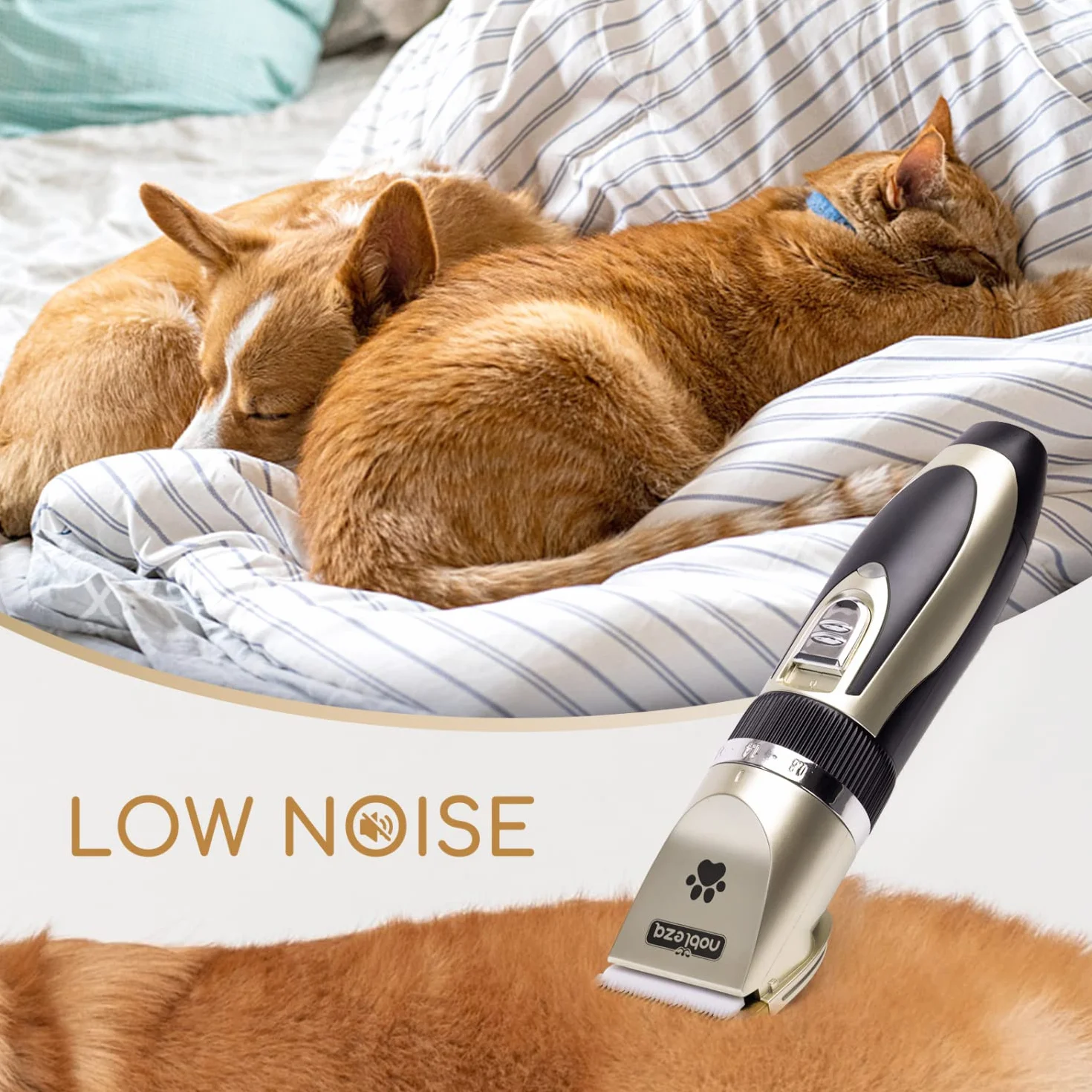 Nobleza Tosatrice per Cani Kit Professionale Toelettatura Gatti Animali Pet Tosatore Clipper Ricaricabile Grooming Clipper Lungo Capelli Corti, Capelli Ricci