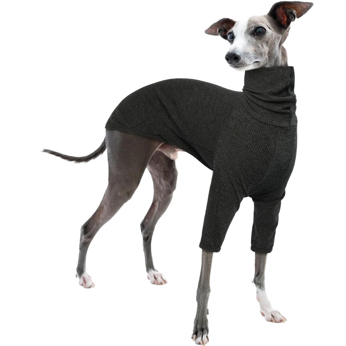 Maglione per Levriero, Giacca Levriero Pigiama Whippet Abbigliamento Levrieri Maglioncino Levriero(Grigio, M)