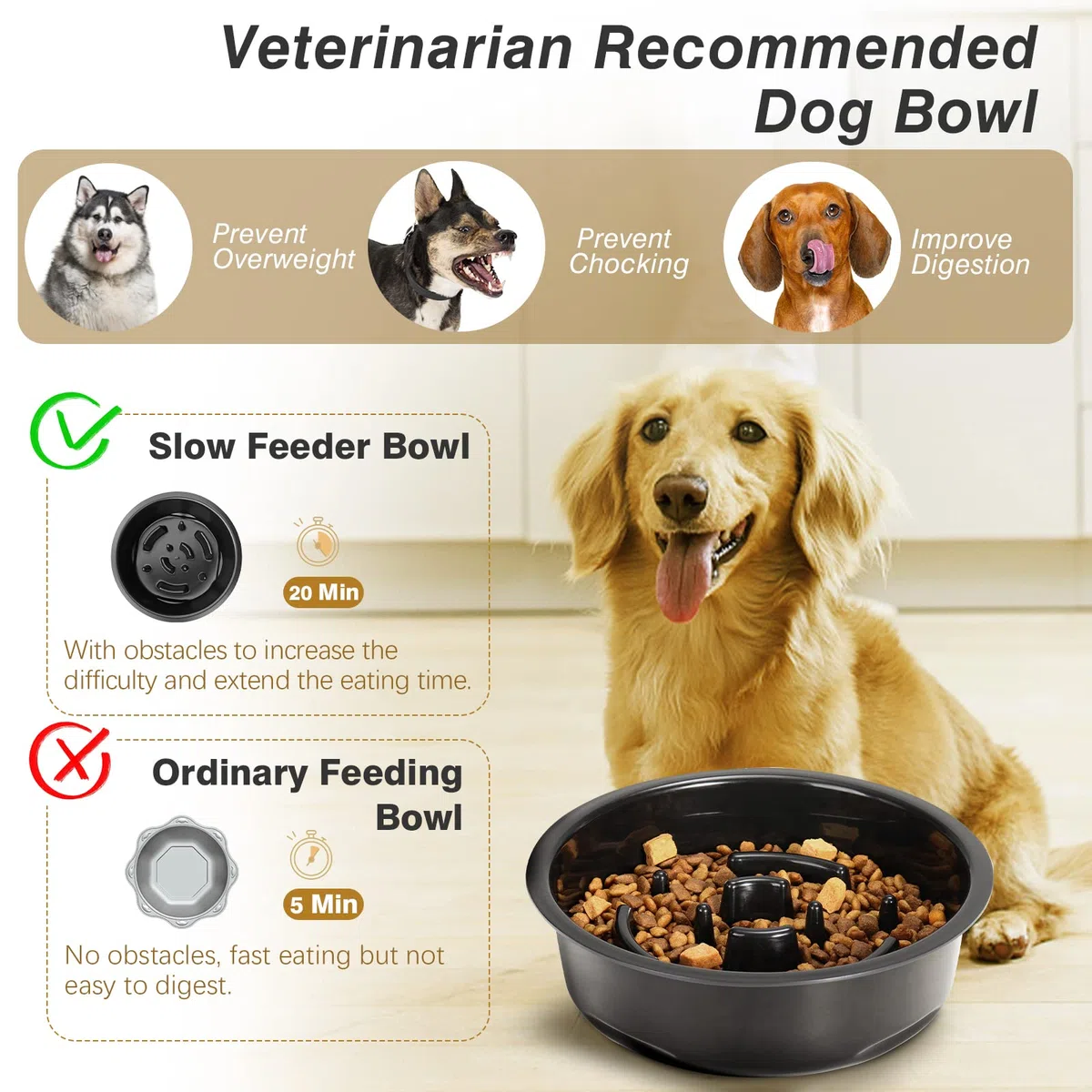 Lewondr Ciotola per Cani Rialzata, Ciotole per Cani Rialzate Anti Ingozzamento con Ciotola ad Alimentazione Lenta da 1,1 L Ciotola in Acciaio Inox con 3 Altezze Regolabili per Cani di Piccola a Grande