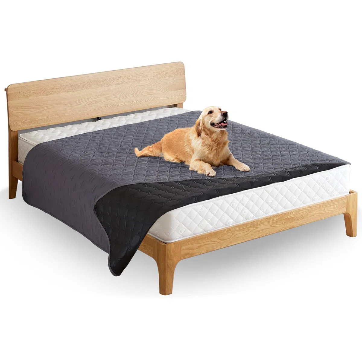180*76cm Tappeti Lavabili per Cani,Copridivano & Copriletto Impermeabile per Cani, Tappetini Assorbenti per Cani, Tappetino per Addestramento del Cane (grigio scuro, M)