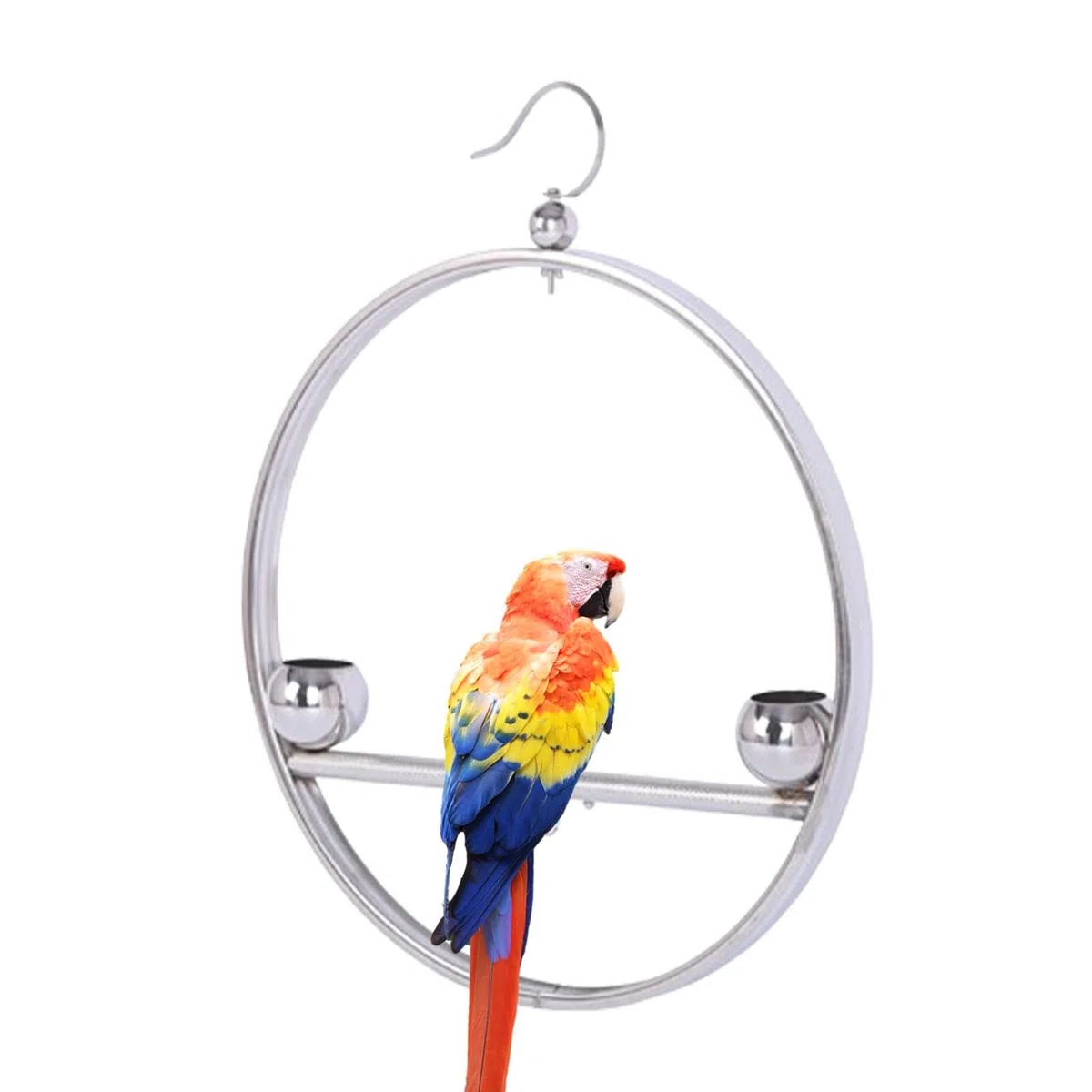 Altalena rotonda per pappagalli, in acciaio inox, supporto per addestramento per pappagalli e uccelli, accessori per animali domestici, antiruggine, con gancio, per gabbie, finestre, balconi