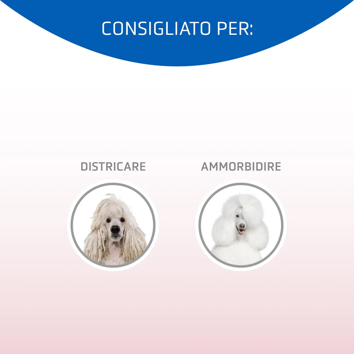 Artero Matt-X Condizionatore per cani e gatti